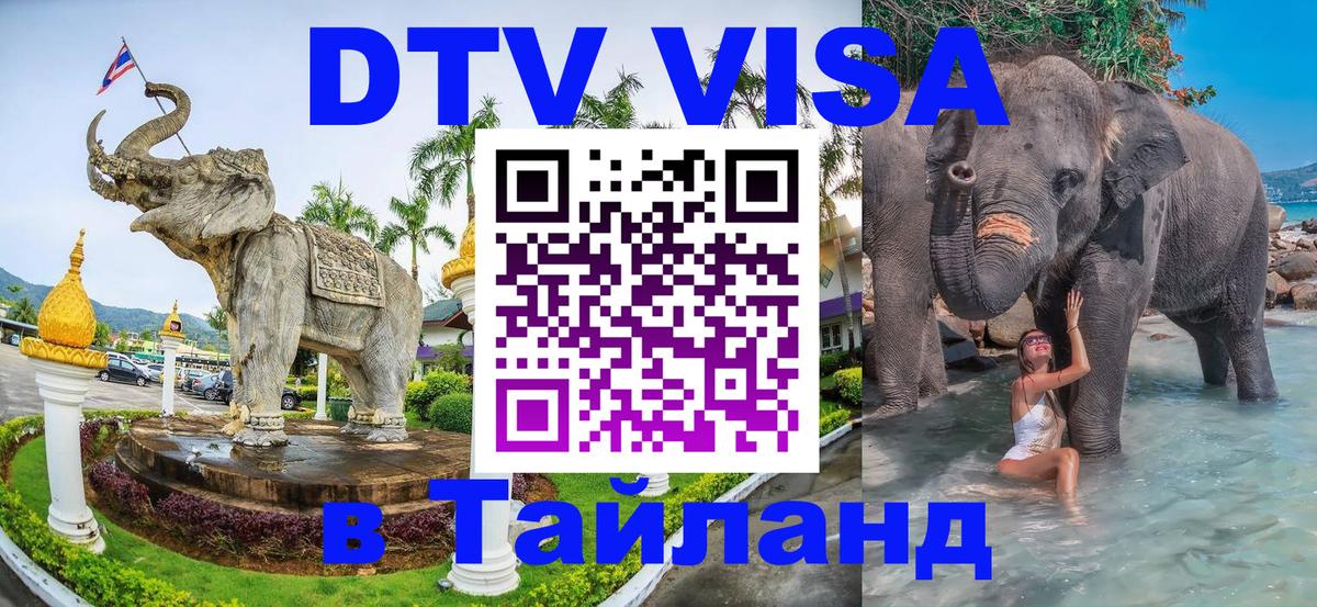 Оформление DTV визы под ключ: стоимость и тарифы, только загранпаспорт - 